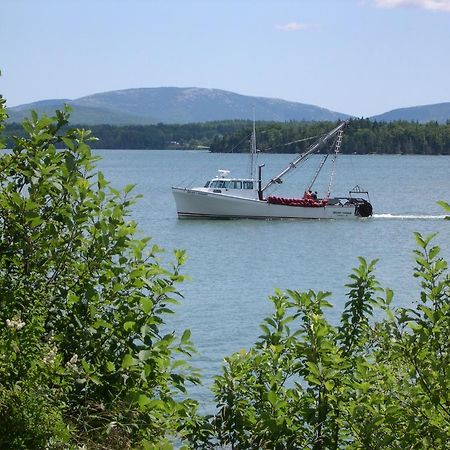 Narrows Too Camping Resort Cabin 1 Trenton Bagian luar foto