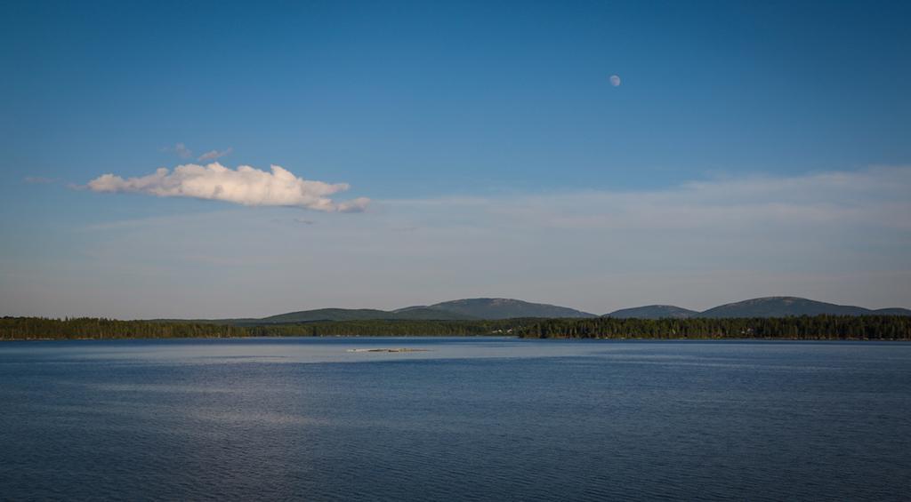 Narrows Too Camping Resort Cabin 1 Trenton Bagian luar foto