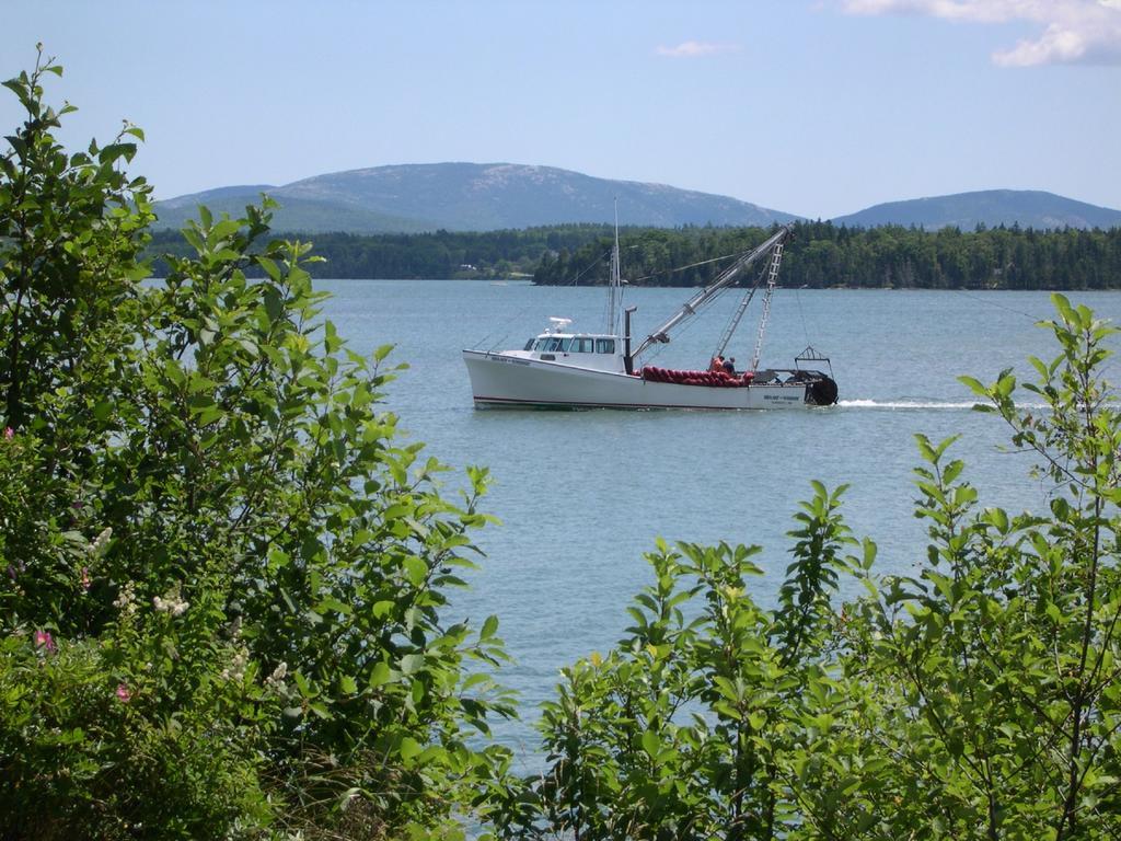 Narrows Too Camping Resort Cabin 1 Trenton Bagian luar foto